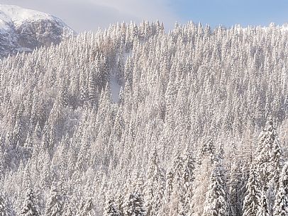 Pramollo pass, landscapes, atmospheres, cross-country skiing, Laghetto Trail, Pontebba, Nassfeld