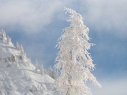 Pramollo pass, landscapes, atmospheres, cross-country skiing, Laghetto Trail, Pontebba, Nassfeld