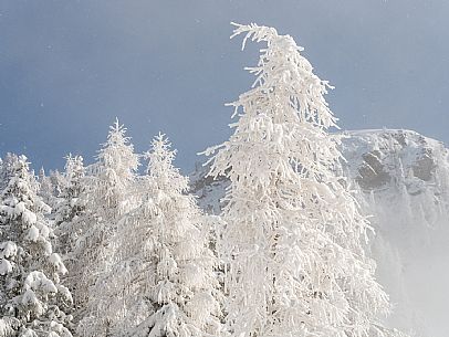 Pramollo pass, landscapes, atmospheres, cross-country skiing, Laghetto Trail, Pontebba, Nassfeld