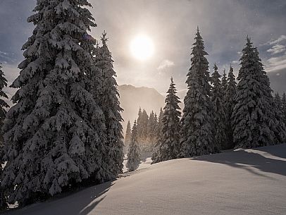 Pramollo pass, landscapes, atmospheres, cross-country skiing, Laghetto Trail, Pontebba, Nassfeld