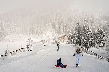 Pramollo pass, landscapes, atmospheres, cross-country skiing, Laghetto Trail, Pontebba, Nassfeld