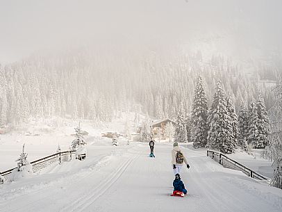 Pramollo pass, landscapes, atmospheres, cross-country skiing, Laghetto Trail, Pontebba, Nassfeld