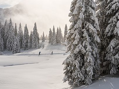 Pramollo pass, landscapes, atmospheres, cross-country skiing, Laghetto Trail, Pontebba, Nassfeld