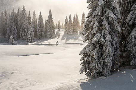 Pramollo pass, landscapes, atmospheres, cross-country skiing, Laghetto Trail, Pontebba, Nassfeld