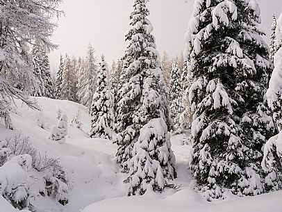 Pramollo pass, landscapes, atmospheres, cross-country skiing, Laghetto Trail, Pontebba, Nassfeld