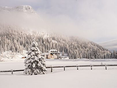 Pramollo pass, landscapes, atmospheres, cross-country skiing, Laghetto Trail, Pontebba, Nassfeld