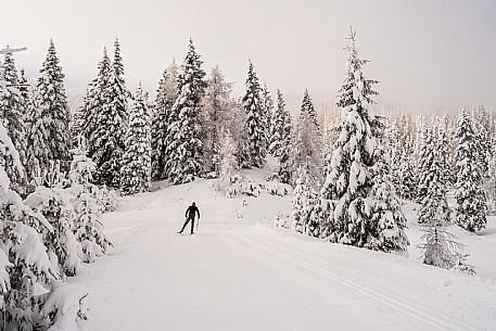 Pramollo pass, landscapes, atmospheres, cross-country skiing, Laghetto Trail, Pontebba, Nassfeld