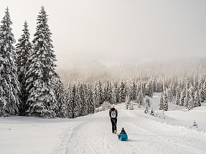 Pramollo pass, landscapes, atmospheres, cross-country skiing, Laghetto Trail, Pontebba, Nassfeld