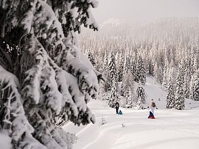 Pramollo pass, landscapes, atmospheres, cross-country skiing, Laghetto Trail, Pontebba, Nassfeld