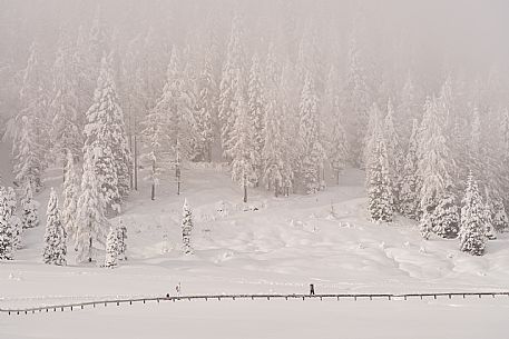 Pramollo pass, landscapes, atmospheres, cross-country skiing, Laghetto Trail, Pontebba, Nassfeld