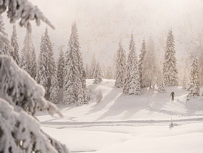 Pramollo pass, landscapes, atmospheres, cross-country skiing, Laghetto Trail, Pontebba, Nassfeld