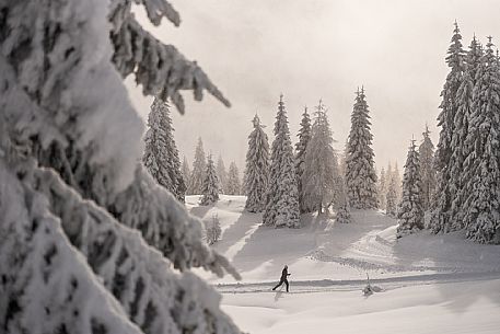 Pramollo pass, landscapes, atmospheres, cross-country skiing, Laghetto Trail, Pontebba, Nassfeld