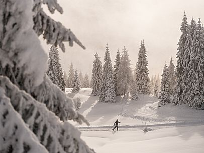 Pramollo pass, landscapes, atmospheres, cross-country skiing, Laghetto Trail, Pontebba, Nassfeld