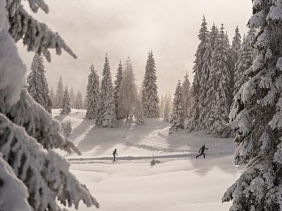 Pramollo pass, landscapes, atmospheres, cross-country skiing, Laghetto Trail, Pontebba, Nassfeld