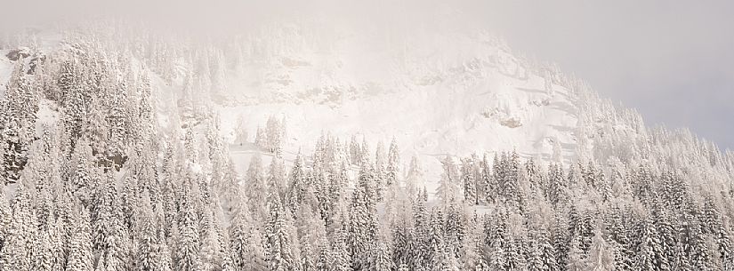 Pramollo pass, landscapes, atmospheres, cross-country skiing, Laghetto Trail, Pontebba, Nassfeld