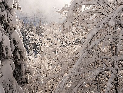 Pramollo pass, landscapes, atmospheres, cross-country skiing, Laghetto Trail, Pontebba, Nassfeld