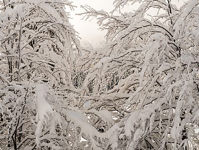 Pramollo pass, landscapes, atmospheres, cross-country skiing, Laghetto Trail, Pontebba, Nassfeld