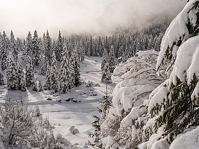 Pramollo pass, landscapes, atmospheres, cross-country skiing, Laghetto Trail, Pontebba, Nassfeld