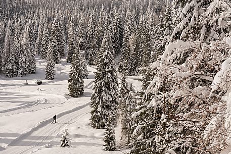 Pramollo pass, landscapes, atmospheres, cross-country skiing, Laghetto Trail, Pontebba, Nassfeld