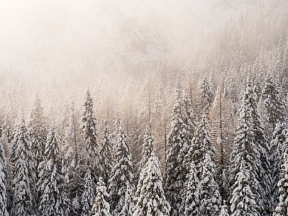 Pramollo pass, landscapes, atmospheres, cross-country skiing, Laghetto Trail, Pontebba, Nassfeld