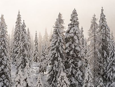 Pramollo pass, landscapes, atmospheres, cross-country skiing, Laghetto Trail, Pontebba, Nassfeld