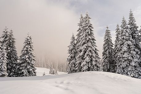 Pramollo pass, landscapes, atmospheres, cross-country skiing, Laghetto Trail, Pontebba, Nassfeld