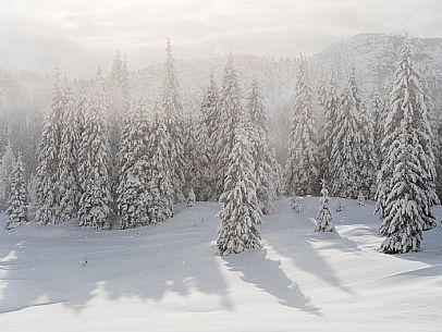 Pramollo pass, landscapes, atmospheres, cross-country skiing, Laghetto Trail, Pontebba, Nassfeld