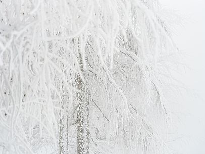 Pramollo pass, landscapes, atmospheres, cross-country skiing, Laghetto Trail, Pontebba, Nassfeld