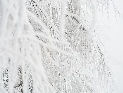 Pramollo pass, landscapes, atmospheres, cross-country skiing, Laghetto Trail, Pontebba, Nassfeld