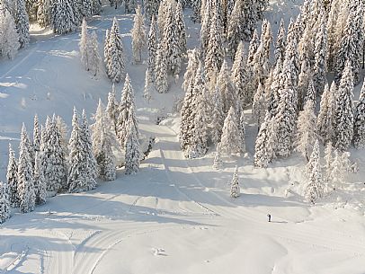 Pramollo pass, landscapes, atmospheres, cross-country skiing, Laghetto Trail, Pontebba, Nassfeld