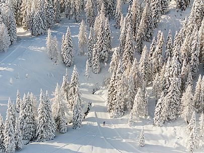 Pramollo pass, landscapes, atmospheres, cross-country skiing, Laghetto Trail, Pontebba, Nassfeld