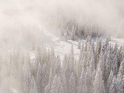 Pramollo pass, landscapes, atmospheres, cross-country skiing, Laghetto Trail, Pontebba, Nassfeld