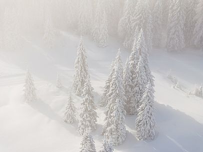 Pramollo pass, landscapes, atmospheres, cross-country skiing, Laghetto Trail, Pontebba, Nassfeld