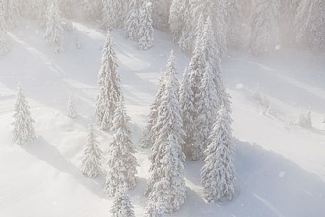 Pramollo pass, landscapes, atmospheres, cross-country skiing, Laghetto Trail, Pontebba, Nassfeld