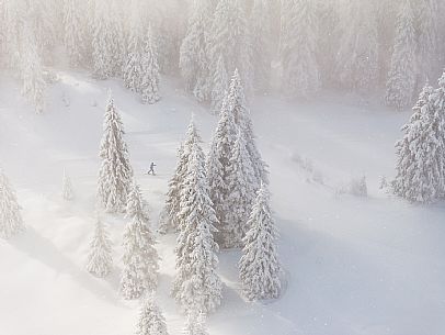 Pramollo pass, landscapes, atmospheres, cross-country skiing, Laghetto Trail, Pontebba, Nassfeld