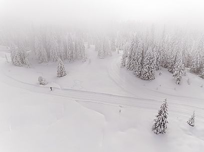 Pramollo pass, landscapes, atmospheres, cross-country skiing, Laghetto Trail, Pontebba, Nassfeld