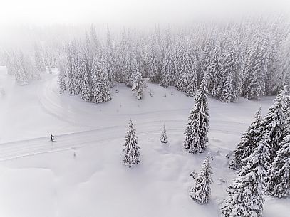 Pramollo pass, landscapes, atmospheres, cross-country skiing, Laghetto Trail, Pontebba, Nassfeld