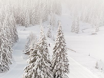 Pramollo pass, landscapes, atmospheres, cross-country skiing, Laghetto Trail, Pontebba, Nassfeld