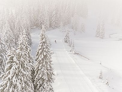 Pramollo pass, landscapes, atmospheres, cross-country skiing, Laghetto Trail, Pontebba, Nassfeld