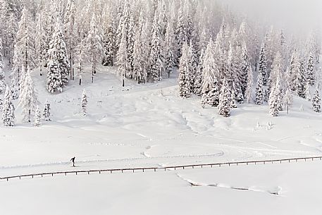 Pramollo pass, landscapes, atmospheres, cross-country skiing, Laghetto Trail, Pontebba, Nassfeld