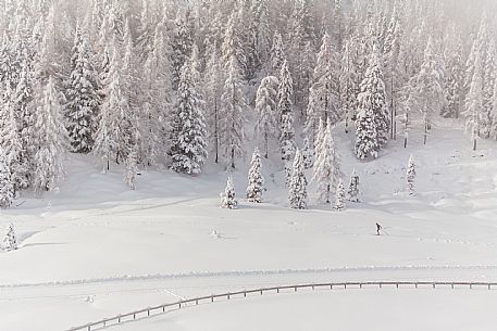 Pramollo pass, landscapes, atmospheres, cross-country skiing, Laghetto Trail, Pontebba, Nassfeld