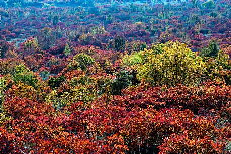 Karst in Autumn