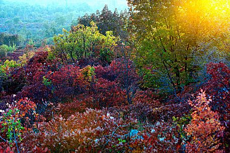 Karst in Autumn