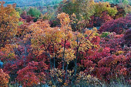 Karst in Autumn