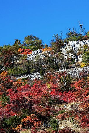 Karst in Autumn