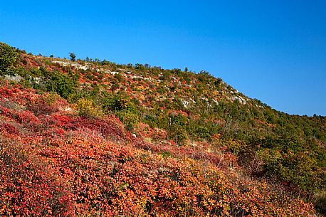 Karst in Autumn