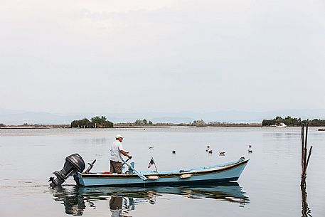 Laguna di Grado