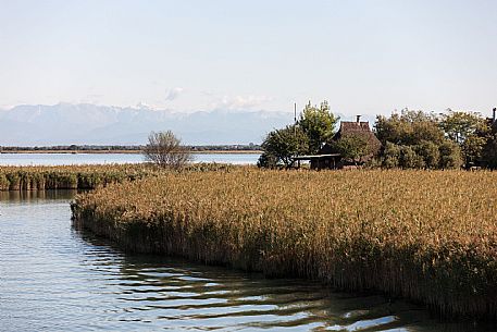 Laguna di Grado