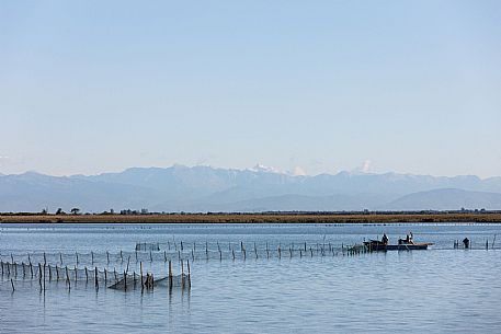 Laguna di Grado