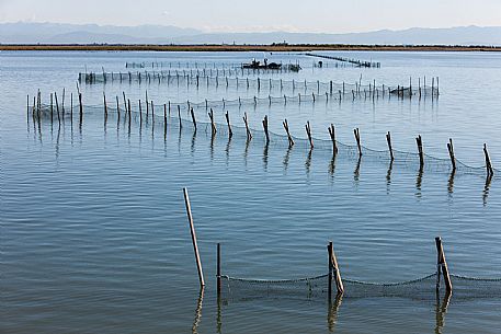 Laguna di Grado